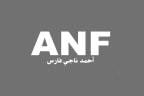 ANF Ahmad Naji Fares
